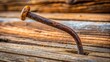 © Caitlin - A rusty bent nail lies on a worn wooden plank, its twisted shape a testament to the forces that once sought to hold it straight.