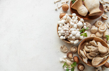 Wall Mural - Assortment of various raw mushrooms