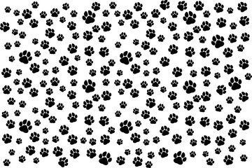 Animal paws pattern on white background