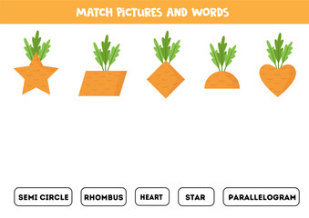 Wall Mural - Match cartoon carrots with names of geometrical shapes.