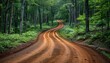 © ЮРИЙ ПОЗДНИКОВ - Winding dirt road leading through lush green forest
