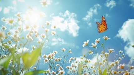 beautiful summer meadow with white summer flowers and a flying butterfly on a sunny blue sky backgro