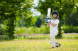 © famveldman - Kids playing cricket in summer park