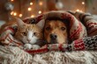 © Ирина Курмаева - A heartwarming scene of an adorable dog and cat cuddled together under a cozy blanket in a festive room decorated for Christmas. The twinkling lights and holiday decorations create a warm, cheerful at