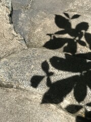 shadow on the ground