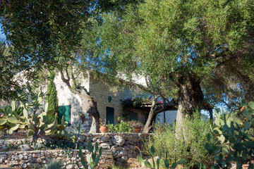 Wall Mural - Architecture in Vitsentsiatika village in Othonoi island, Greece