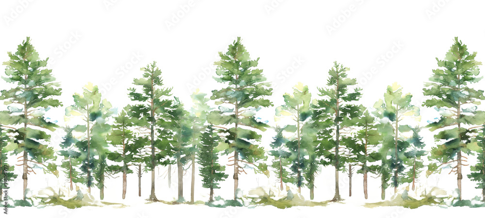 Seamless Horizontal Watercolor Pine trees isolated on transparent ...