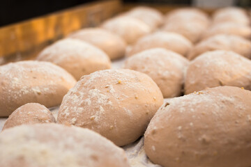 Wall Mural - Bread preparation. loaves of dough before baking