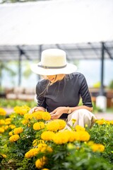 Wall Mural - girl enjoying time outdoor in the middle of yellow marigold flowers garden