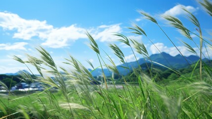 Canvas Print - Grass Blades Swaying in the Breeze Against a Blue Sky and Mountains