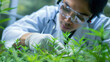 © Chatchanan - A researcher analyzing the growth of organic cannabis in a greenhouse
