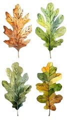 Canvas Print - Assorted Watercolor Oak Leaves in Vibrant Autumn Shades on White Background