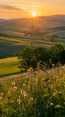 Poster - Vibrant Countryside Sunrise with Blooming Daisies and Musical Harmony