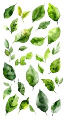 Wall Mural - Scattered Watercolor Bay Leaves Assortment on White Background with Culinary Appeal