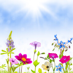 Wall Mural - colorful flowers on a background of the autumn landscape. flower arrangement