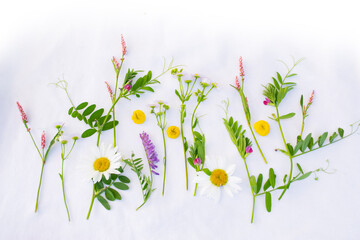 Wall Mural - summer wild flowers on white fabric. background. flower arrangement.