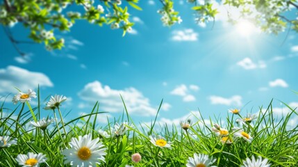 Poster - Spring nature scene, with blooming flowers, green grass, and a clear blue sky