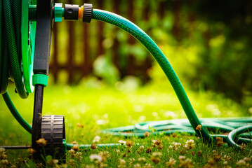 Wall Mural - Garden hose for watering plants in garden