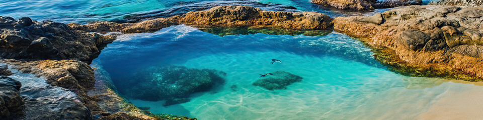 Wall Mural - The Turquoise Tidepool: A serene rock pool teeming with sea life, surrounded by warm sand and turquoise waters