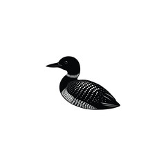 Wall Mural - common loon bird detalised on white background