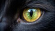 © Diana - Close-up of a black cat’s eye with intense green and yellow hues, capturing the mysterious and captivating essence of feline vision, showing incredible detail and sharpness