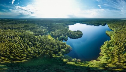 Wall Mural - forest lake top view, landscape nature view forest, background