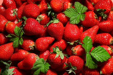 Wall Mural - Texture of fresh strawberries with leaves