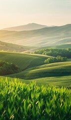 Canvas Print - Rolling green hills and a field of grass. AI.