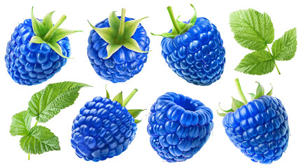 Wall Mural - Set of juicy blue raspberries with leaves isolated on a transparent background.