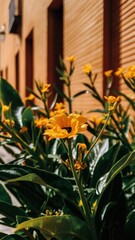 Wall Mural - A close up of a bunch of yellow flowers in front of an orange building, AI