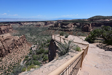 Wall Mural - Viewpoint in Colorado National Monument near Fruita, Colorado on sunny summer day.