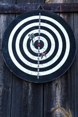 Dartboard against old tree background. Two darts hit the target of a dart board. Bad shots on target of a dart board