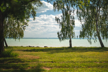 Wall Mural - Sailboat on lake Balaton in summer with trees