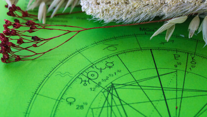 printed green astrology chart with dried flowers in the background, sun and uranus in aquarius, deta