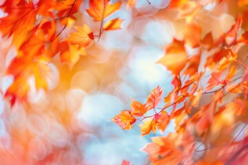 A detailed view of leaves on a tree branch