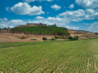 Poster - Aerial view of Huerta de la Obispalia in La Mancha Spain, hilltop medieval fortification with pentagonal bastion gun platforms at both ends