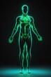 © Kunthana - Human Anatomy - Skeleton and Muscles Glowing in Green Light.