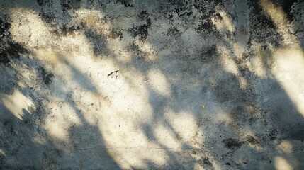 Wall Mural - closeup of weathered concrete texture with intricate patterns and shadows