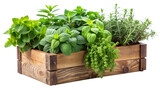 herbs in a wooden box