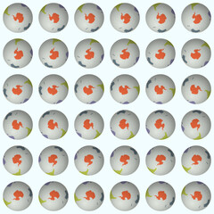 Poster - Collection of globes. South Pole sphere view. Rotation step 10 degrees. Colored continents style. World map with sparse graticule lines on desaturated background. Alive vector illustration.
