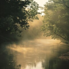 Sticker - Misty river with sunlight streaming through trees.