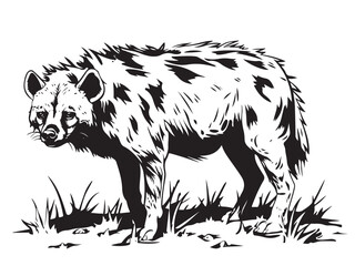 Poster - Hyena vector with piercing stare isolated