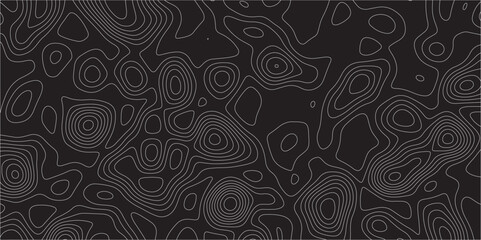 Poster - Abstract white on black background Topographic line map pattern. Contour elevation topographic and textured Background Modern design with black background with topographic wavy patted.	
