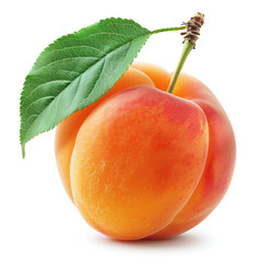 Ripe Homegrown Apricots: Sweet, Juicy, and Organic Vitamin-Rich Fruits