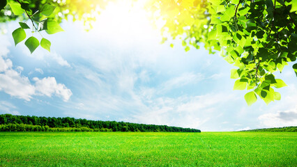 Wall Mural - summer landscape with green field and sky