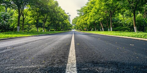 A quiet road lined by trees on both sides