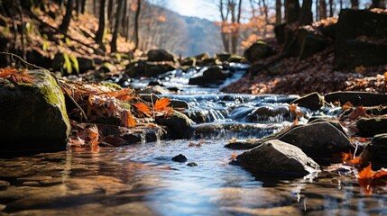 Wall Mural - Autumn waterfall rocks 