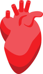 Poster - Realistic anatomical illustration of the human heart, showing veins and arteries