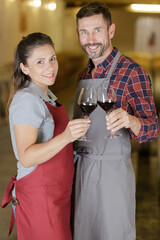 couple toasting with wineglasses in the cellar of a vineyard