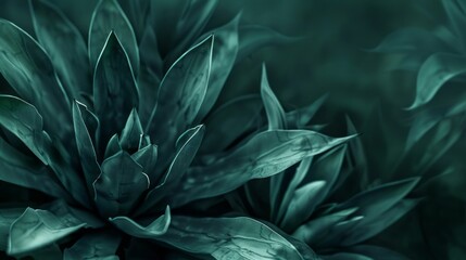 Poster - A green plant with leaves that are curled up